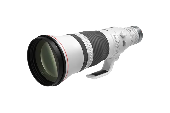 Canon RF 600mm f/4 L IS USM