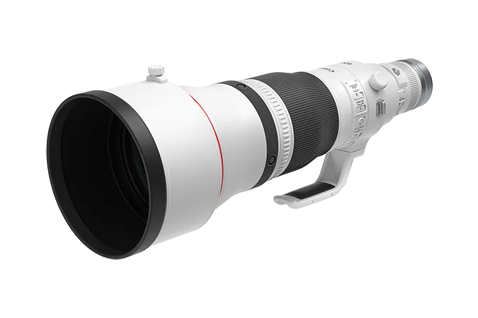 Canon RF 600mm f/4 L IS USM