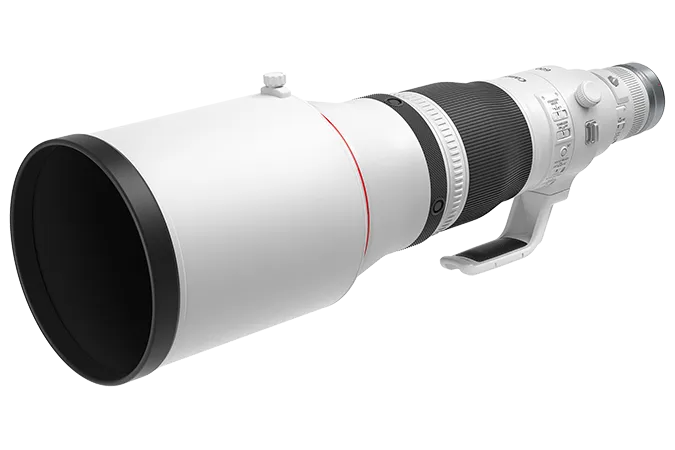 Canon RF 600mm f/4 L IS USM