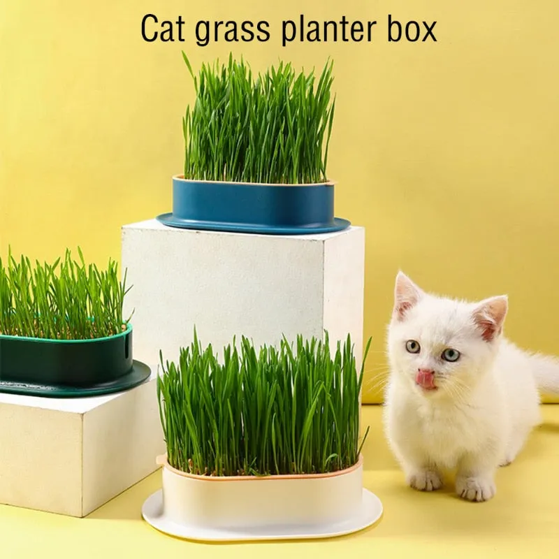 Cat Grass Planting Box Growing Kit Hydroponic Soil-Free