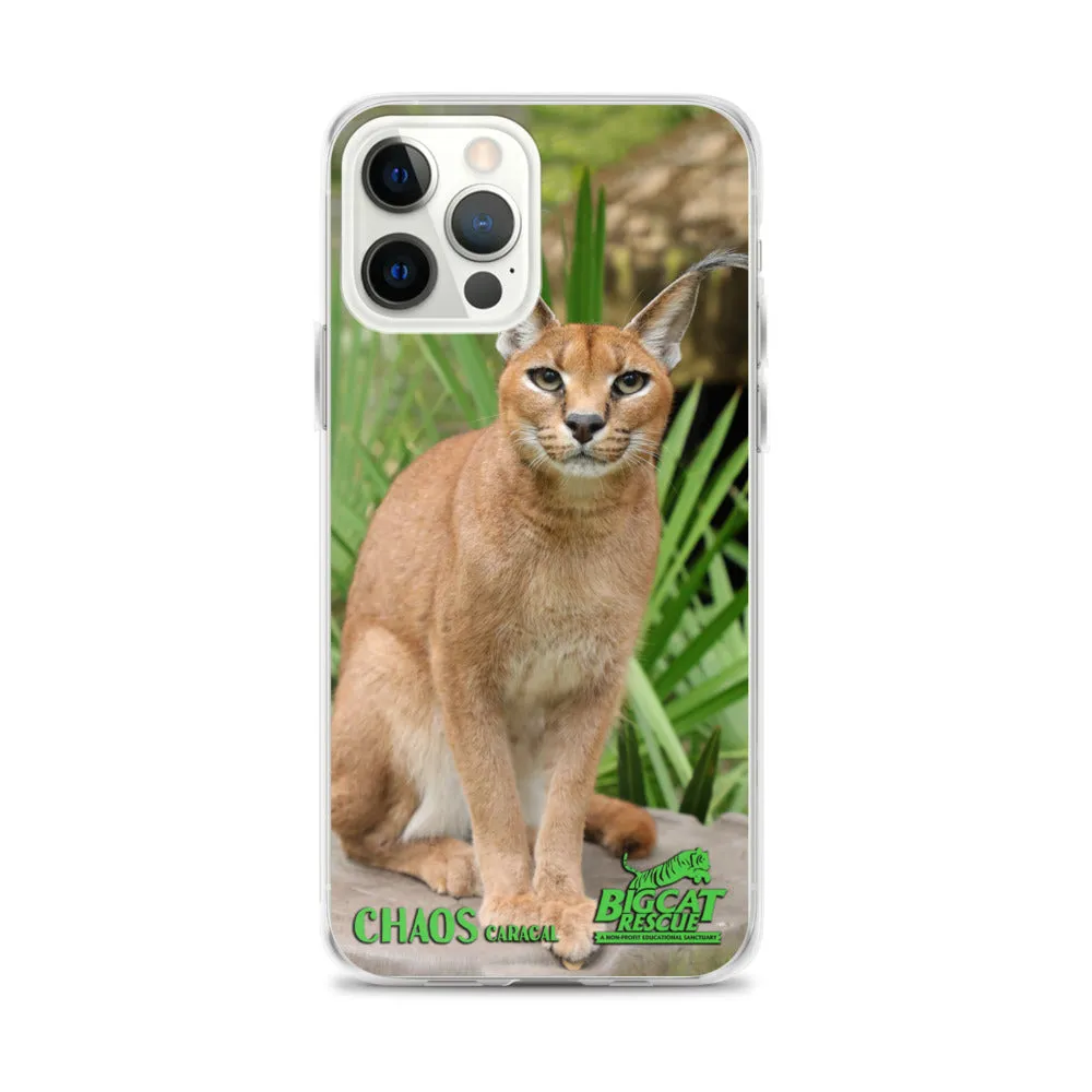 Phone Case - Chaos Caracal iPhone