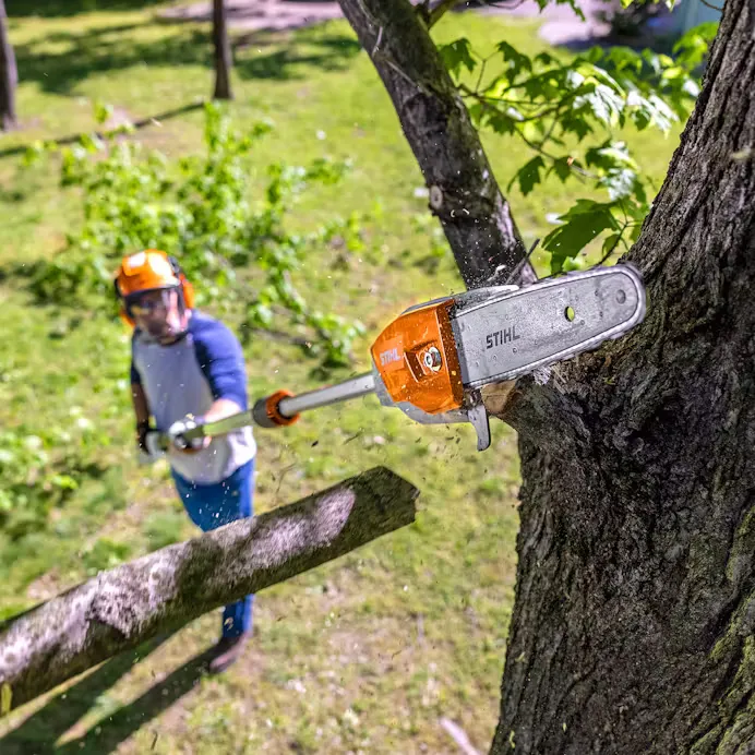 Stihl | HTA 86 Battery Pole Pruner | w/ AP 300 S battery & AL 301 charger (HTA86-AP300S-AL301-COMBO)