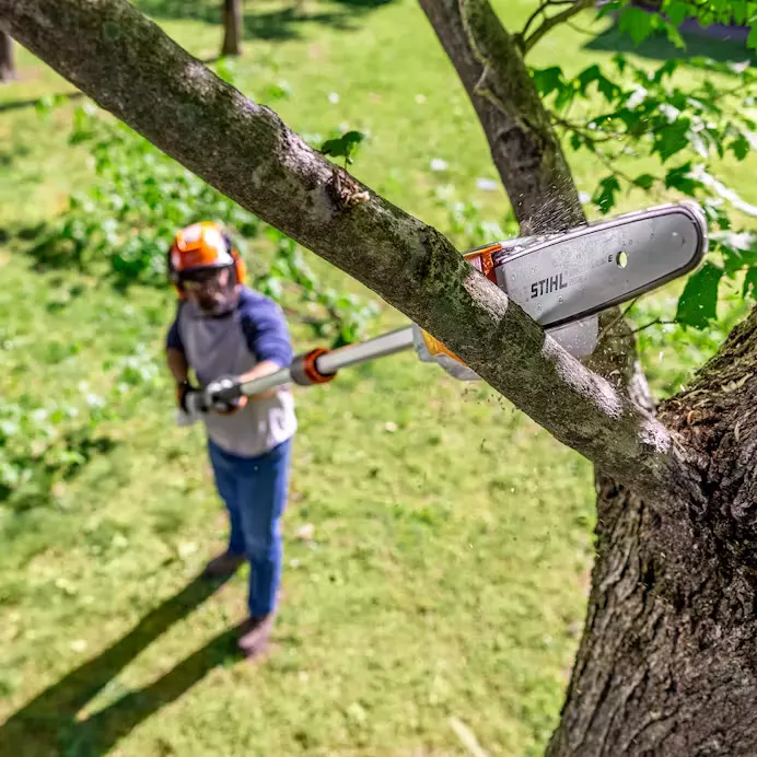 Stihl | HTA 86 Battery Pole Pruner | w/ AP 300 S battery & AL 301 charger (HTA86-AP300S-AL301-COMBO)